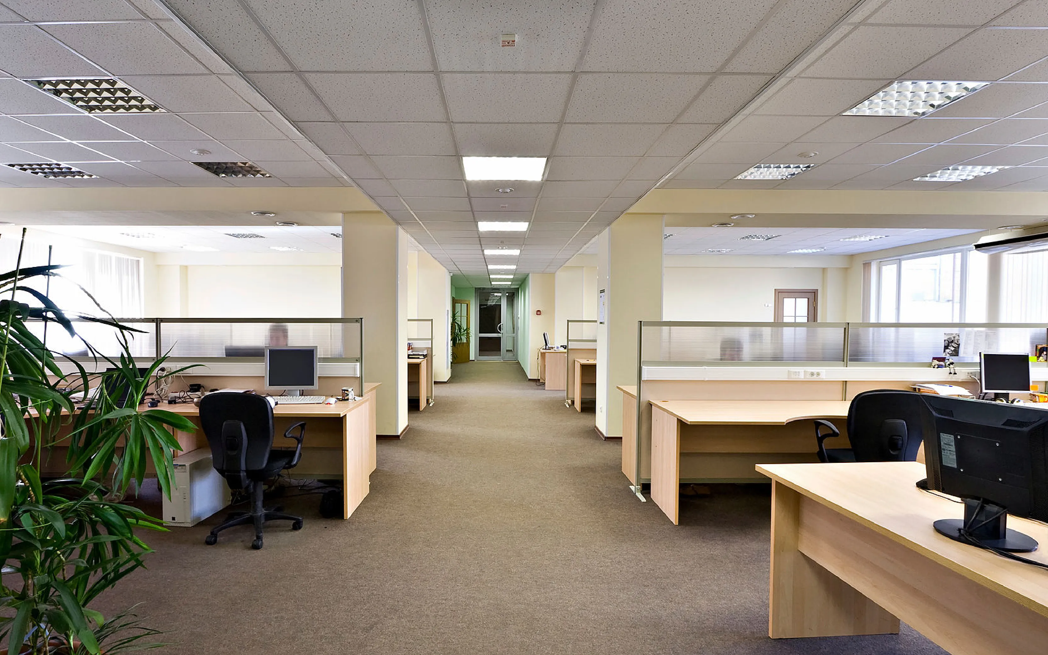 carpet cleaning in the Bronx, carpet cleaning in the Bronx, carpet cleaning the Bronx, carpet cleaners in the Bronx, carpet cleaners in the Bronx, commercial carpet cleaning, commercial carpet cleaning in the Bronx, the Bronx rug cleaners, rug cleaning services in the Bronx, same day carpet cleaning, same day rug cleaning